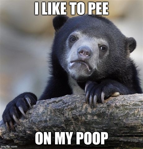 Confession Bear Meme | I LIKE TO PEE ON MY POOP | image tagged in memes,confession bear | made w/ Imgflip meme maker