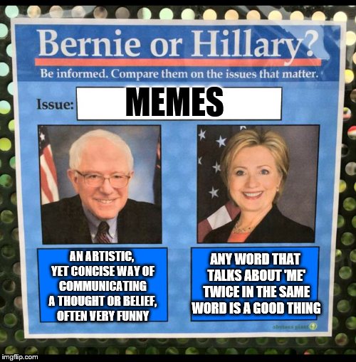Bernie or Hillary? | MEMES; ANY WORD THAT TALKS ABOUT 'ME' TWICE IN THE SAME WORD IS A GOOD THING; AN ARTISTIC, YET CONCISE WAY OF COMMUNICATING A THOUGHT OR BELIEF, OFTEN VERY FUNNY | image tagged in bernie or hillary,memes,election 2016,hillary clinton,bernie sanders | made w/ Imgflip meme maker