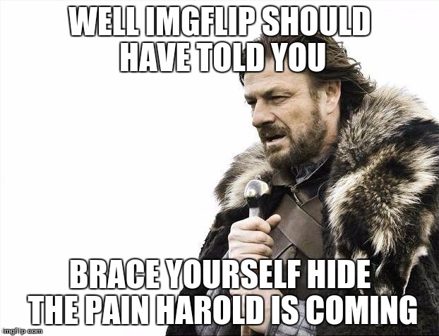 WELL IMGFLIP SHOULD HAVE TOLD YOU BRACE YOURSELF HIDE THE PAIN HAROLD IS COMING | image tagged in memes,brace yourselves x is coming | made w/ Imgflip meme maker