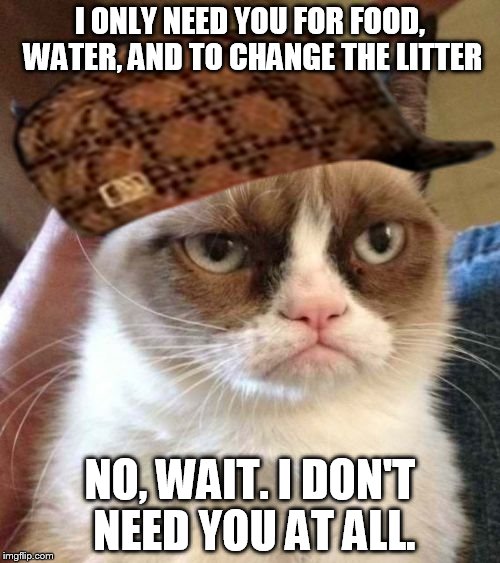 Grumpy Cat Reverse | I ONLY NEED YOU FOR FOOD, WATER, AND TO CHANGE THE LITTER; NO, WAIT. I DON'T NEED YOU AT ALL. | image tagged in memes,grumpy cat reverse,grumpy cat,scumbag | made w/ Imgflip meme maker