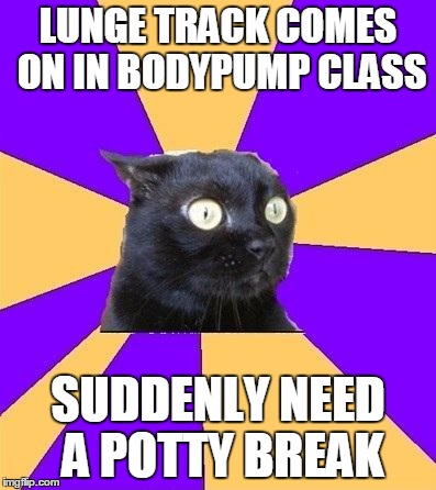 anxiety cat | LUNGE TRACK COMES ON IN BODYPUMP CLASS; SUDDENLY NEED A POTTY BREAK | image tagged in anxiety cat | made w/ Imgflip meme maker