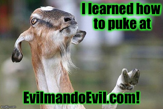 Well, he's a Billy Goat, what else do they do? | I learned how to puke at; EvilmandoEvil.com! | image tagged in goat,angry goat,memes,funny memes | made w/ Imgflip meme maker