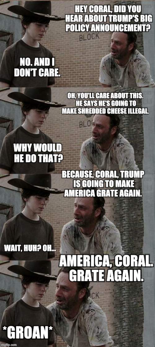 Rick and Carl Long | HEY CORAL, DID YOU HEAR ABOUT TRUMP'S BIG POLICY ANNOUNCEMENT? NO. AND I DON'T CARE. OH, YOU'LL CARE ABOUT THIS. HE SAYS HE'S GOING TO MAKE SHREDDED CHEESE ILLEGAL. WHY WOULD HE DO THAT? BECAUSE, CORAL, TRUMP IS GOING TO MAKE AMERICA GRATE AGAIN. WAIT, HUH? OH... AMERICA, CORAL. GRATE AGAIN. *GROAN* | image tagged in memes,rick and carl long | made w/ Imgflip meme maker