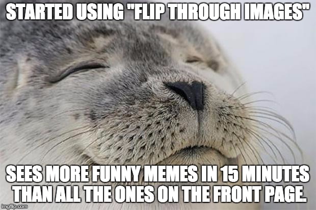 I now know why it's called Imgflip. | STARTED USING "FLIP THROUGH IMAGES"; SEES MORE FUNNY MEMES IN 15 MINUTES THAN ALL THE ONES ON THE FRONT PAGE. | image tagged in memes,satisfied seal | made w/ Imgflip meme maker