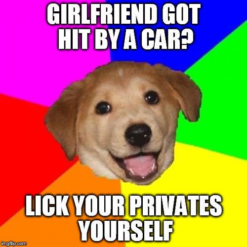 Advice Dog - Sure it' not optimal but hey... | GIRLFRIEND GOT HIT BY A CAR? LICK YOUR PRIVATES YOURSELF | image tagged in memes,advice dog,dogs | made w/ Imgflip meme maker