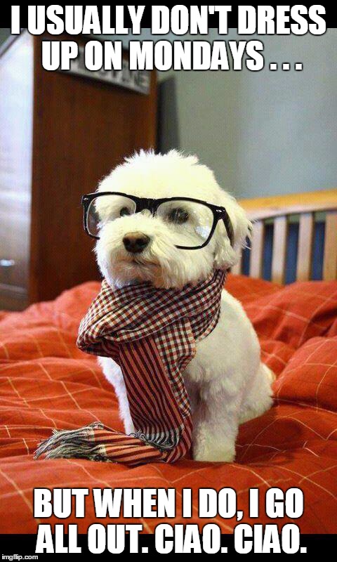 Intelligent Dog | I USUALLY DON'T DRESS UP ON MONDAYS . . . BUT WHEN I DO, I GO ALL OUT. CIAO. CIAO. | image tagged in memes,intelligent dog | made w/ Imgflip meme maker