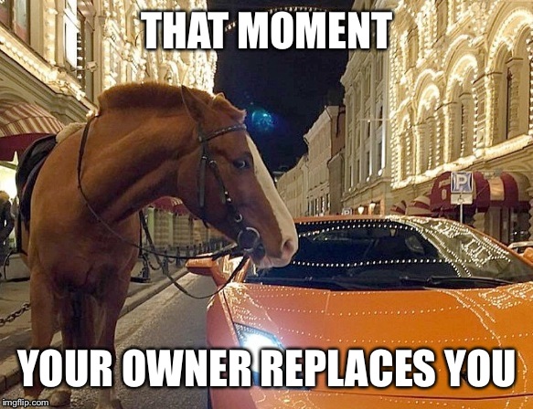 No? It's just me? | THAT MOMENT; YOUR OWNER REPLACES YOU | image tagged in horse,lamborghini,owner,that moment | made w/ Imgflip meme maker