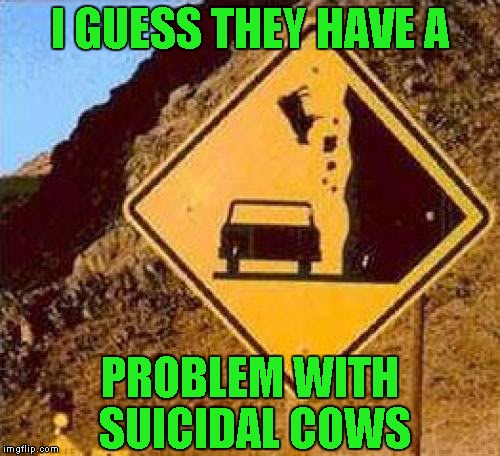 Does your insurance cover falling cow disease? | I GUESS THEY HAVE A; PROBLEM WITH SUICIDAL COWS | image tagged in falling cows,funny signs,funny,memes,funny animals,road signs | made w/ Imgflip meme maker