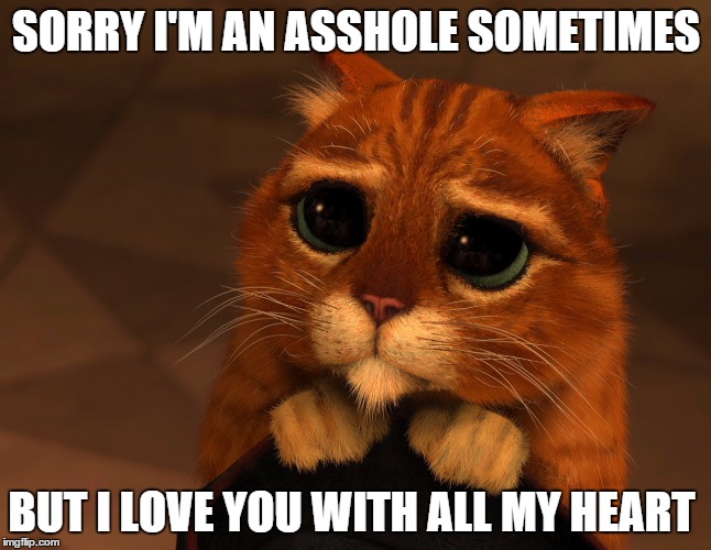 sorry I'm an asshole | SORRY I'M AN ASSHOLE SOMETIMES; BUT I LOVE YOU WITH ALL MY HEART | image tagged in asshole,love you with all my heart,sorry i'm an asshole | made w/ Imgflip meme maker