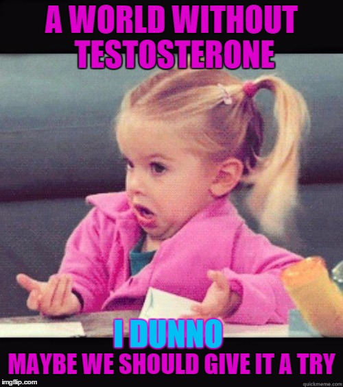 Dafuq Girl | A WORLD WITHOUT TESTOSTERONE; I DUNNO; MAYBE WE SHOULD GIVE IT A TRY | image tagged in dafuq girl | made w/ Imgflip meme maker