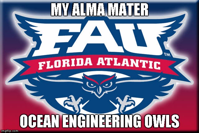 MY ALMA MATER OCEAN ENGINEERING OWLS | image tagged in fau owls | made w/ Imgflip meme maker