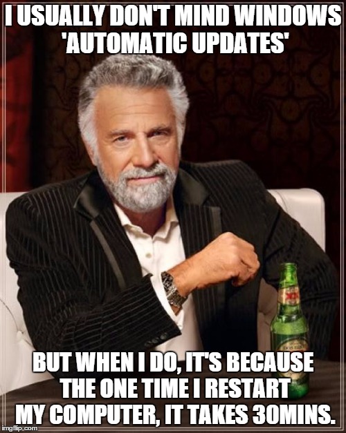 The Most Interesting Man In The World Meme | I USUALLY DON'T MIND WINDOWS 'AUTOMATIC UPDATES'; BUT WHEN I DO, IT'S BECAUSE THE ONE TIME I RESTART MY COMPUTER, IT TAKES 30MINS. | image tagged in memes,the most interesting man in the world | made w/ Imgflip meme maker