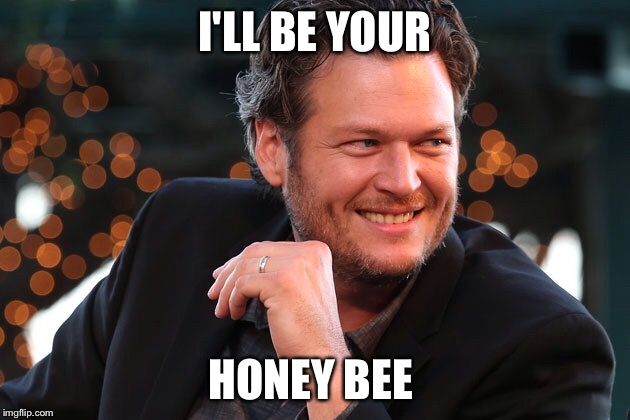 I'LL BE YOUR HONEY BEE | made w/ Imgflip meme maker