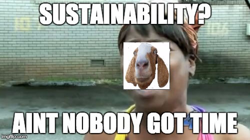 Ain't Nobody Got Time For That Meme | SUSTAINABILITY? AINT NOBODY GOT TIME | image tagged in memes,aint nobody got time for that | made w/ Imgflip meme maker