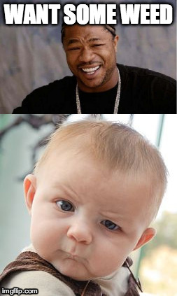 Want some weed? | WANT SOME WEED | image tagged in weed,skeptical baby,yo dawg,lol | made w/ Imgflip meme maker