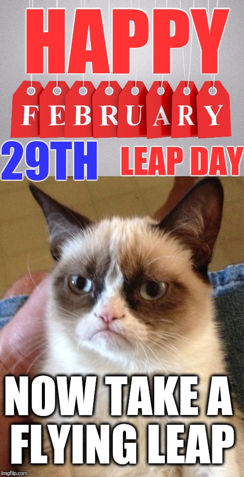 Grumpy day | HAPPY; 29TH; LEAP DAY; NOW TAKE A FLYING LEAP | image tagged in memes,funny,grumpy cat | made w/ Imgflip meme maker