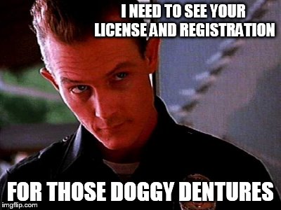 police | I NEED TO SEE YOUR LICENSE AND REGISTRATION FOR THOSE DOGGY DENTURES | image tagged in police | made w/ Imgflip meme maker