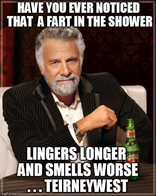 The Most Interesting Man In The World | HAVE YOU EVER NOTICED THAT  A FART IN THE SHOWER; LINGERS LONGER AND SMELLS WORSE . . . TEIRNEYWEST | image tagged in memes,the most interesting man in the world | made w/ Imgflip meme maker