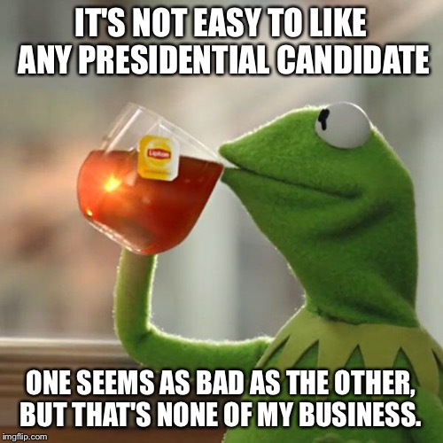 But That's None Of My Business Meme | IT'S NOT EASY TO LIKE ANY PRESIDENTIAL CANDIDATE ONE SEEMS AS BAD AS THE OTHER, BUT THAT'S NONE OF MY BUSINESS. | image tagged in memes,but thats none of my business,kermit the frog | made w/ Imgflip meme maker