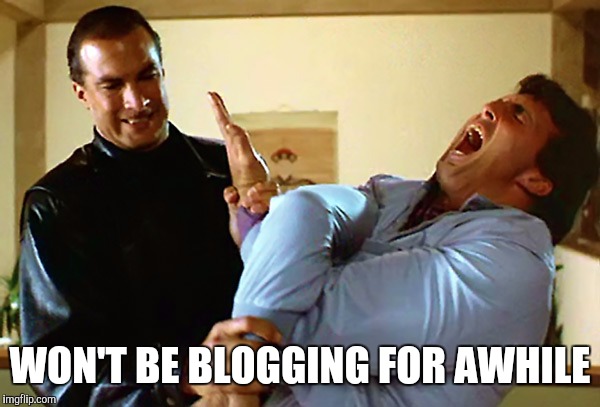 Seagal solutions | WON'T BE BLOGGING FOR AWHILE | image tagged in seagal solutions | made w/ Imgflip meme maker