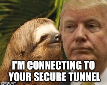 Political advice sloth | I'M CONNECTING TO YOUR SECURE TUNNEL | image tagged in political advice sloth | made w/ Imgflip meme maker