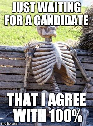 Waiting Skeleton Meme | JUST WAITING FOR A CANDIDATE THAT I AGREE WITH 100% | image tagged in memes,waiting skeleton | made w/ Imgflip meme maker