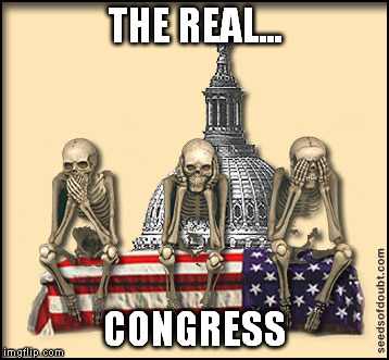 THE REAL... CONGRESS | made w/ Imgflip meme maker