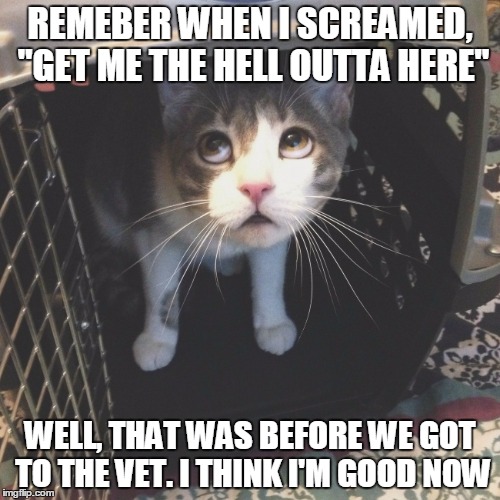 REMEBER WHEN I SCREAMED, "GET ME THE HELL OUTTA HERE"; WELL, THAT WAS BEFORE WE GOT TO THE VET. I THINK I'M GOOD NOW | image tagged in AdviceAnimals | made w/ Imgflip meme maker