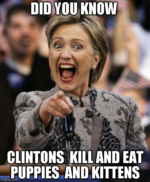 hillarypointing | DID YOU KNOW; CLINTONS  KILL AND EAT  PUPPIES  AND KITTENS | image tagged in hillarypointing | made w/ Imgflip meme maker