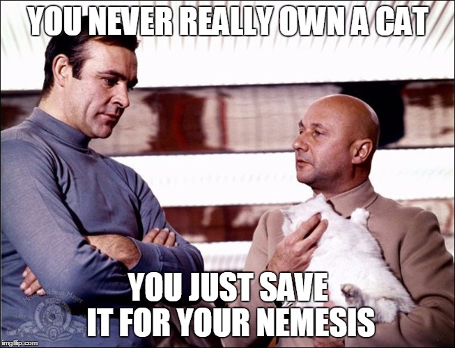 YOU NEVER REALLY OWN A CAT; YOU JUST SAVE IT FOR YOUR NEMESIS | made w/ Imgflip meme maker