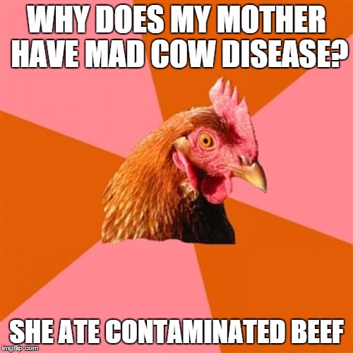 Anti Joke Chicken Meme | WHY DOES MY MOTHER HAVE MAD COW DISEASE? SHE ATE CONTAMINATED BEEF | image tagged in memes,anti joke chicken | made w/ Imgflip meme maker