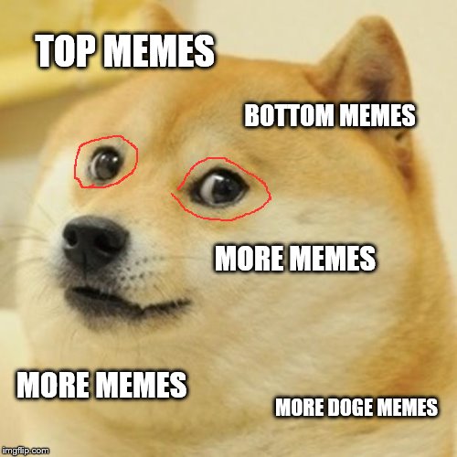 Doge Meme | TOP MEMES; BOTTOM MEMES; MORE MEMES; MORE MEMES; MORE DOGE MEMES | image tagged in memes,doge | made w/ Imgflip meme maker