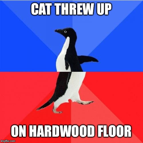 Socially Awkward Awesome Penguin | CAT THREW UP; ON HARDWOOD FLOOR | image tagged in memes,socially awkward awesome penguin | made w/ Imgflip meme maker