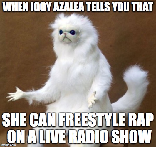 Persian Cat | WHEN IGGY AZALEA TELLS YOU THAT; SHE CAN FREESTYLE RAP ON A LIVE RADIO SHOW | image tagged in persian cat | made w/ Imgflip meme maker
