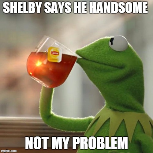 But That's None Of My Business Meme | SHELBY SAYS HE HANDSOME; NOT MY PROBLEM | image tagged in memes,but thats none of my business,kermit the frog | made w/ Imgflip meme maker
