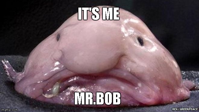 IT'S ME; MR.BOB | image tagged in injkn | made w/ Imgflip meme maker