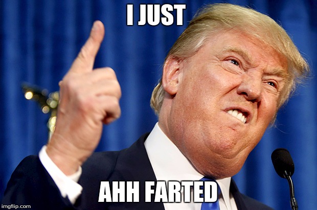 Donald Trump | I JUST; AHH FARTED | image tagged in donald trump | made w/ Imgflip meme maker