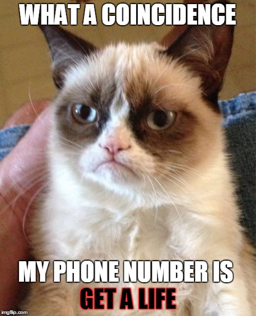 Grumpy Cat Meme | WHAT A COINCIDENCE GET A LIFE MY PHONE NUMBER IS | image tagged in memes,grumpy cat | made w/ Imgflip meme maker