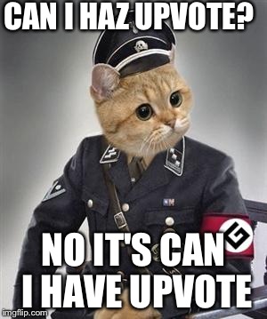 Grammar Nazi Cat | CAN I HAZ UPVOTE? NO IT'S CAN I HAVE UPVOTE | image tagged in grammar nazi cat | made w/ Imgflip meme maker