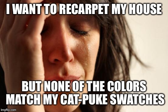First World Problems Meme | I WANT TO RECARPET MY HOUSE BUT NONE OF THE COLORS MATCH MY CAT-PUKE SWATCHES | image tagged in memes,first world problems | made w/ Imgflip meme maker