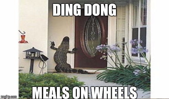 DING DONG MEALS ON WHEELS | made w/ Imgflip meme maker