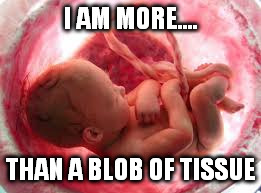 I AM MORE.... THAN A BLOB OF TISSUE | made w/ Imgflip meme maker