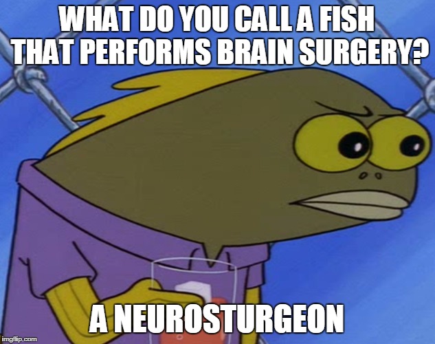 spongebobfish | WHAT DO YOU CALL A FISH THAT PERFORMS BRAIN SURGERY? A NEUROSTURGEON | image tagged in spongebobfish | made w/ Imgflip meme maker