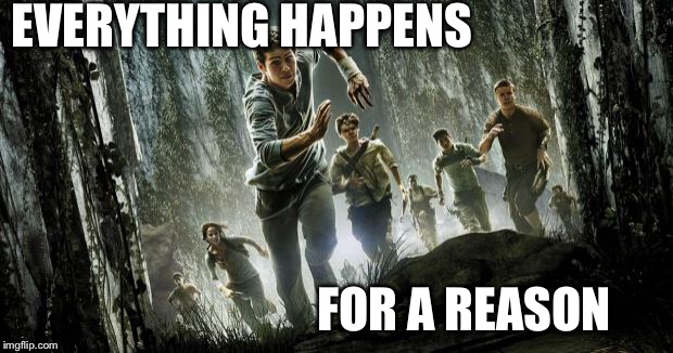 Maze runner | EVERYTHING HAPPENS; FOR A REASON | image tagged in maze runner | made w/ Imgflip meme maker