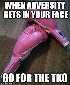 WHEN ADVERSITY GETS IN YOUR FACE; GO FOR THE TKO | made w/ Imgflip meme maker