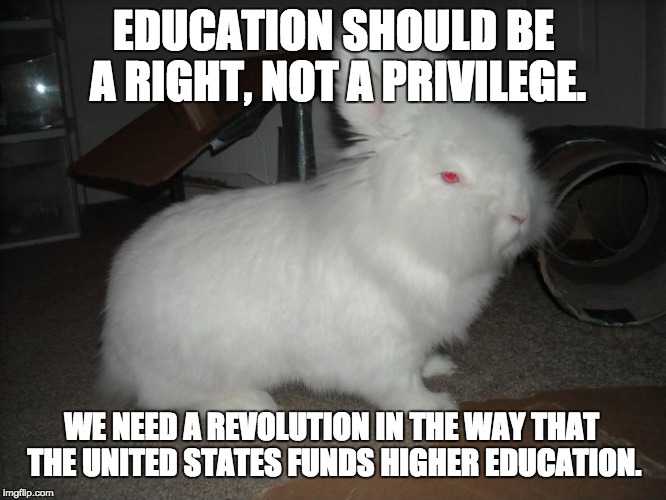 Bunnie Sanders | EDUCATION SHOULD BE A RIGHT, NOT A PRIVILEGE. WE NEED A REVOLUTION IN THE WAY THAT THE UNITED STATES FUNDS HIGHER EDUCATION. | image tagged in election 2016,pets,bernie sanders,rabbits,aww | made w/ Imgflip meme maker