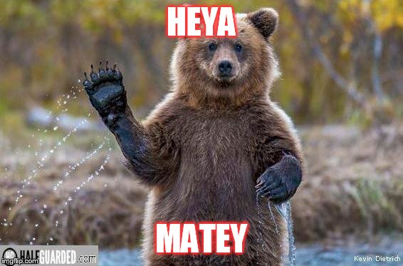 HEYA; MATEY | made w/ Imgflip meme maker