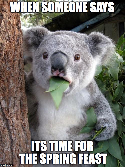 Surprised Koala | WHEN SOMEONE SAYS; ITS TIME FOR THE SPRING FEAST | image tagged in memes,surprised koala | made w/ Imgflip meme maker