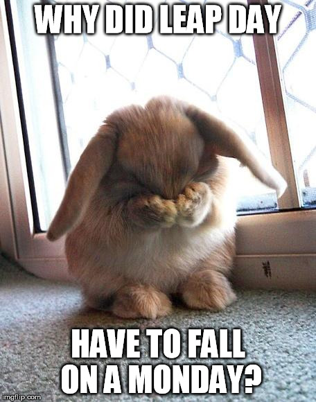 embarrassed bunny | WHY DID LEAP DAY; HAVE TO FALL ON A MONDAY? | image tagged in embarrassed bunny | made w/ Imgflip meme maker