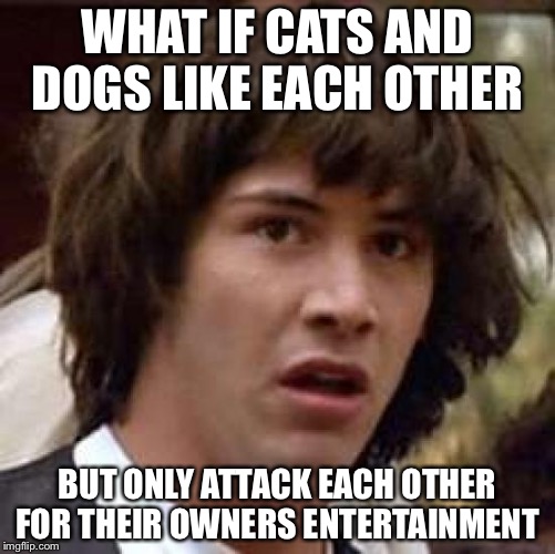 Conspiracy Keanu Meme | WHAT IF CATS AND DOGS LIKE EACH OTHER; BUT ONLY ATTACK EACH OTHER FOR THEIR OWNERS ENTERTAINMENT | image tagged in memes,conspiracy keanu | made w/ Imgflip meme maker